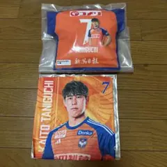 アルビレックス新潟　谷口海斗選手クッション、ミニタオルセット