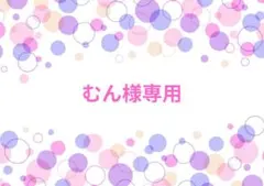むん様専用