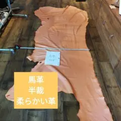 Item thumbnail for item 0b6a93aa-090e-48c2-892c-d4fbcd6d2e64