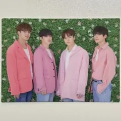 SEVENTEEN HARU ヒポチ トレカ ②