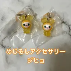 TWICE LOVELYS めじるしアクセサリー ジヒョ