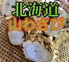 旨辛！北海道山わさび太物2kg - メルカリ