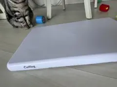 2026年最新】catlog board 2の人気アイテム - メルカリ