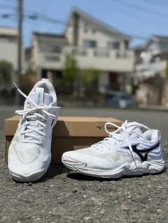Mizuno バレーボールシューズ 27.0cm ホワイト/ブラック