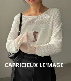 【新品タグ付】CAPRICIEUX LE'MAGE 袖シアーレースTのサムネイル