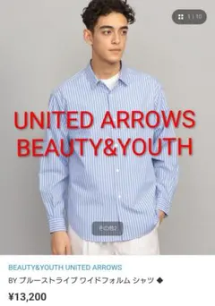 BEAUTY&YOUTH 長袖シャツ L ブルーストライプ