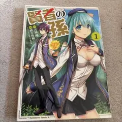 2026年最新】賢者の孫の人気アイテム - メルカリ