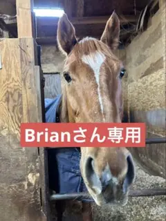 Brianさん専用