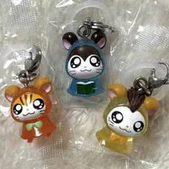 とっとこハム太郎 めじるしアクセサリー のっぽくん トラハムちゃん トンガリくん