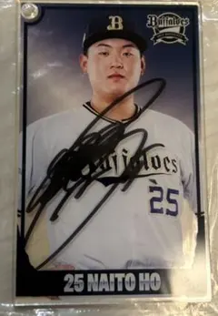 2025年最新】内藤鵬 直筆サインの人気アイテム - メルカリ