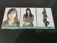 もんどのすけ様 リクエスト 2点 まとめ商品