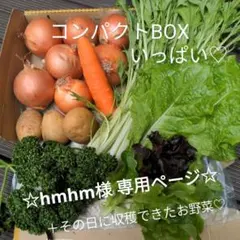 野菜詰め合わせ] と水菜、パセリ、サンチュなど