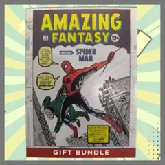 Destiny Box 2 & Amazing Box Spider-Man - メルカリ