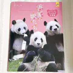 2025年最新】彩浜の人気アイテム - メルカリ