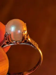 Item thumbnail for item 487d07ca-b5a7-49db-982b-2fc47ff370d3