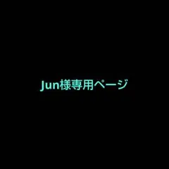 Jun様専用ページ