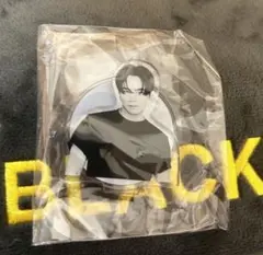 LDH LIVE-EXPO 2024 登坂広臣 ØMI アクリルスタンド