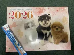 Item thumbnail for item 09164b28-25f8-4985-96fb-9a60c40c0d9f