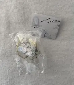 うちの子 アメショ