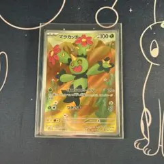 ポケモンカード　マラカッチ　AR１枚