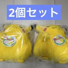 2個セットポケモン30周年記念 おかえり！ ピカチュウ1/1 ぬいぐるみ