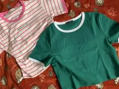 ストライプ＆ZARAグリーンショート丈Tシャツ2枚セット