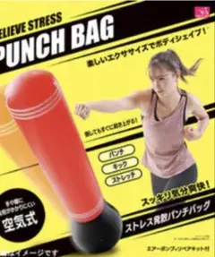 Item thumbnail for item fecae1d8-ce1d-404a-a94f-7001d3aac312