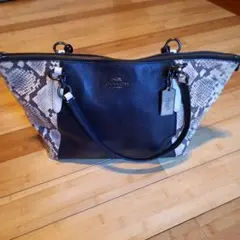 Item thumbnail for item b66215b0-714f-4553-ac42-650ef05b9579