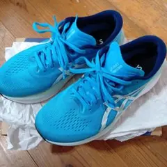 アシックス　マジックスピード　ワイド25センチ