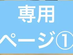 専用ページ①