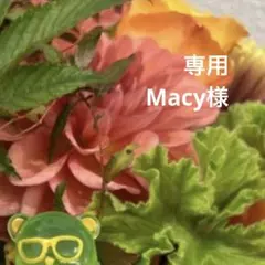 Macy様 リクエスト 10点 まとめ商品