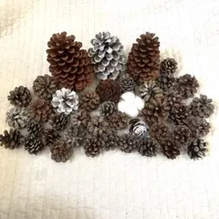 Item thumbnail for item e18e5ef7-45a4-4996-836a-6e7602707c7c