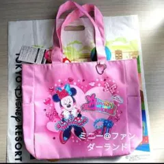 トートバック ディズニーパルパルーザ ミニーのファンタジーランド202