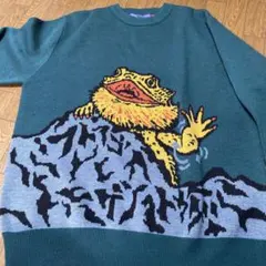 go slow caravan カエルデザイン ニットセーター サイズ5