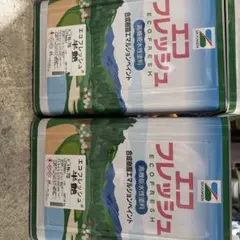 エコフレッシュ N-55 16kg 塗料 - メルカリ