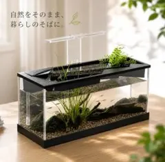 メダカ水槽 ビオトープ風 卓上アクアテラリウム 上植え 自動循環 LEDライト付のサムネイル