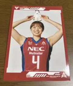 2025年最新】NECレッドロケッツ川崎の人気アイテム - メルカリ
