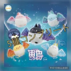宙色こうもり　全5種コンプリート そらいろ