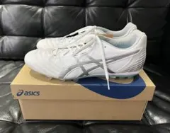 y*︎様 ASICS DS LIGHT AG L.E. ホワイト/シルバー　27