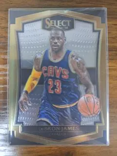 LeBron James 2015-16 Select No. 147