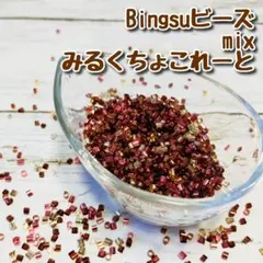【匿名発送】Bingsuビーズ(mixみるくちょこれーと)30g スライム素材