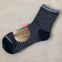 Item thumbnail for item ad784158-333d-4bfd-94e8-809bf4ed3fa2