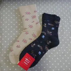 Item thumbnail for item ece935a1-5141-4178-9cf2-44280d858568