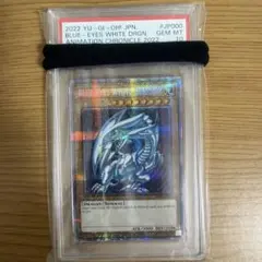2026年最新】青眼の白龍 東京ドーム psa10の人気アイテム - メルカリ