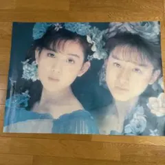 Item thumbnail for item 7c72f265-b2d8-44f9-a426-18a1e8823235