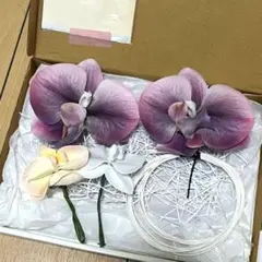 Item thumbnail for item 3e4c455a-df77-45e3-b538-2656e134f767