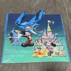 東京ディズニーリゾート バッグ　Where dreams come true
