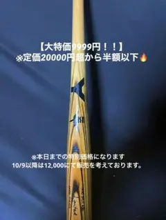 ヤナセ　硬式木製バット　備品