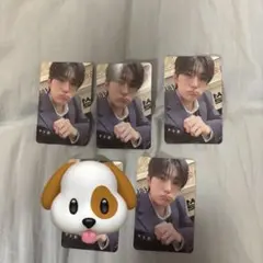 サンヒョントレカ4枚セット