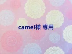 camel様 リクエスト 2点 まとめ商品